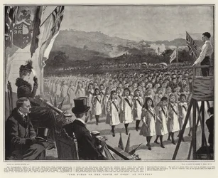 The Field of the Cloth of Gold at Dunedin